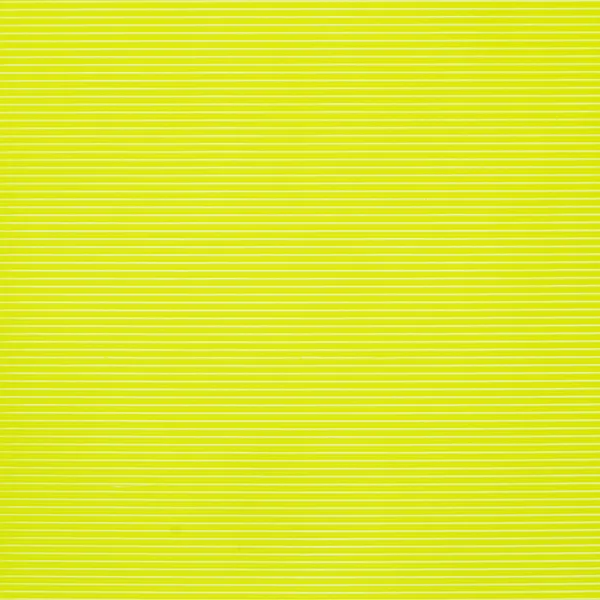Printed Solid PLA Lime